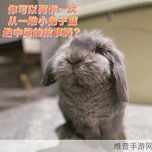 老师的大兔子在衬衫里抖来抖去:1. 大兔子在衬衫中跳跃的奇妙冒险