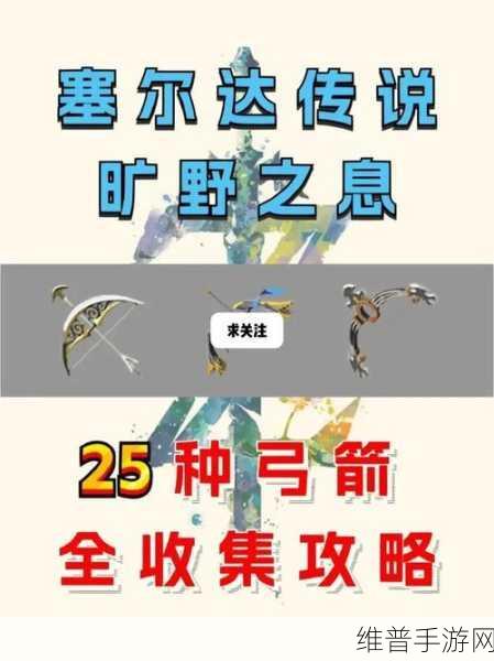塞尔达传说，荒野之息手游攻略，光之弓箭与摩托车的获取之道