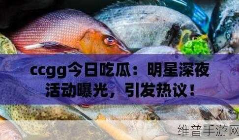 51吃瓜黑料爆料：1. “隐藏在聚光灯下的真相：51吃瓜黑料大揭秘”