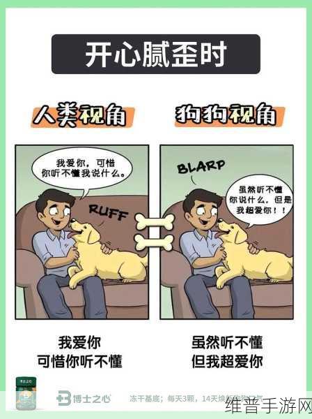 我的老公是只狗一郎：1. 我的老公竟然是只狗，生活大揭秘