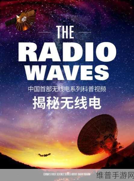 日韩无线码免费：1. 最新日韩无线码分享平台大揭秘