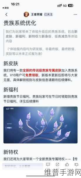 王者荣耀 VIP 等级价格全解析