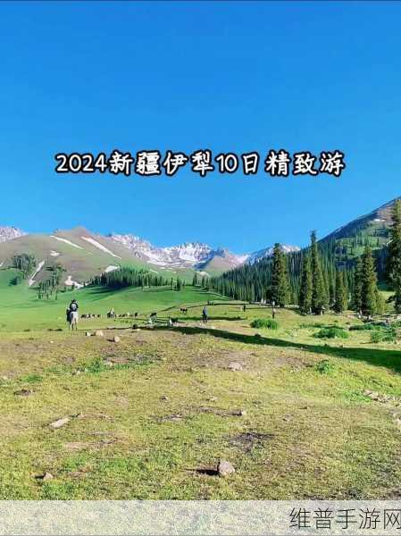 伊犁园20243秒转入：1. ＂探索伊犁园：20243秒转化新视野