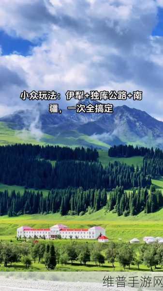 伊犁园20243秒转入：1. ＂探索伊犁园：20243秒转化新视野