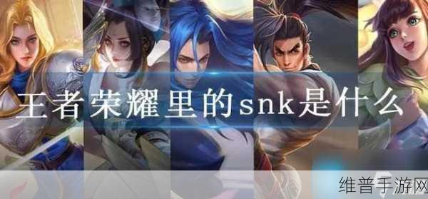 王者荣耀SNK联动活动周期深度解析，频率、规律与再度来袭预测