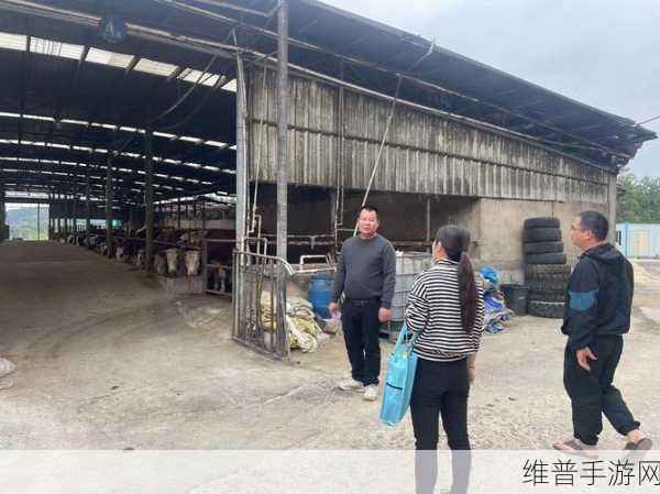 人畜禽CORPORATION咨询：1. 人畜禽CORPORATION：推动可持续农业发展新模式