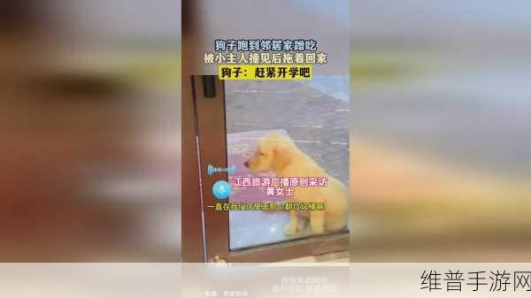 男生女生在床上拔萝卜不盖被子:1. "床上拔萝卜:甜蜜与幽默交织的夜晚