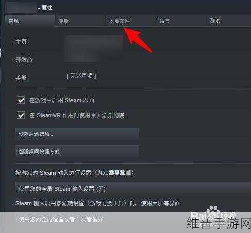 Steam手游默认文件夹全解析，轻松管理你的游戏数据