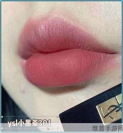ysl蜜桃色neo成人：1. YSL蜜桃色Neo：秋冬季节的完美妆容选择