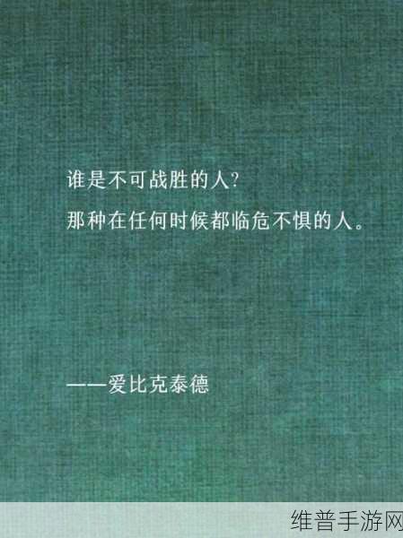 小圈实践狠揍纪实：1. 小圈实践的真实记录：勇敢面对挑战