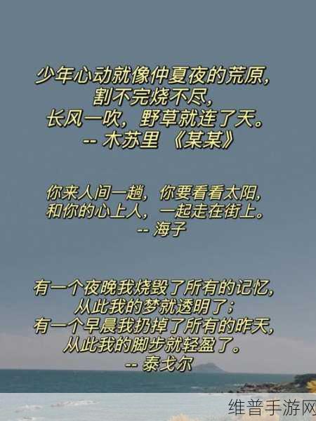 已满18点此进入带好纸巾：1. ＂成年人的世界：心灵成长与情感释放