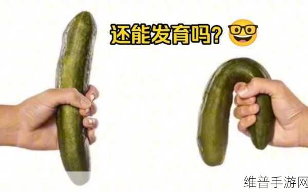 女生教男生坤坤游游:当然可以!以下是一些基于“女生教男生坤坤游游”的扩展