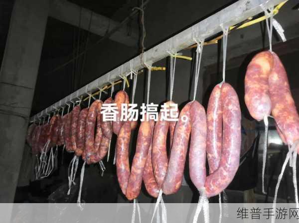 小桐想吃大香肠:1. 小桐的美食冒险:探寻大香肠的魅力