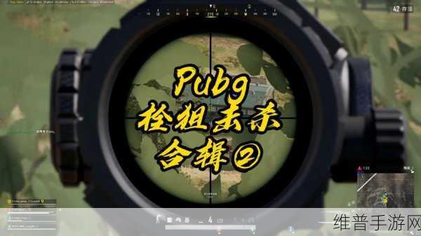 绝地求生刺激战场四排排位深度攻略,团队协作与策略制胜