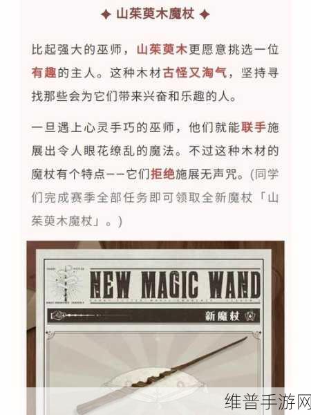 哈利波特，魔法觉醒决斗大师魔杖获取全攻略