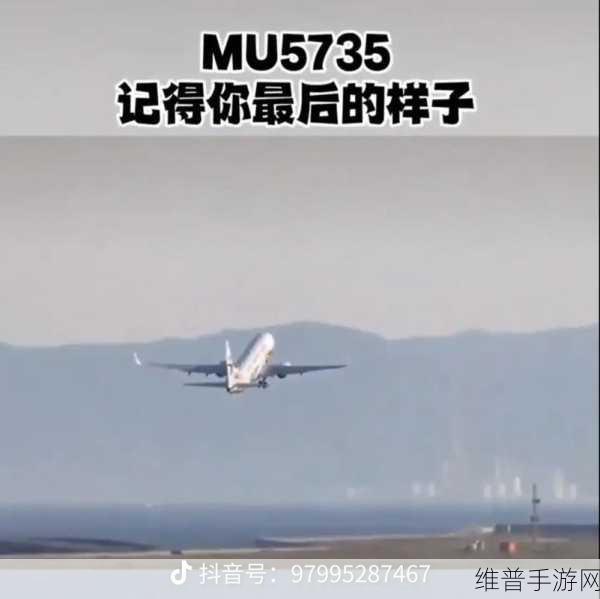 mu5735为什么不公布原因:1. 不公布原因的背后:MU5735事件深度解析