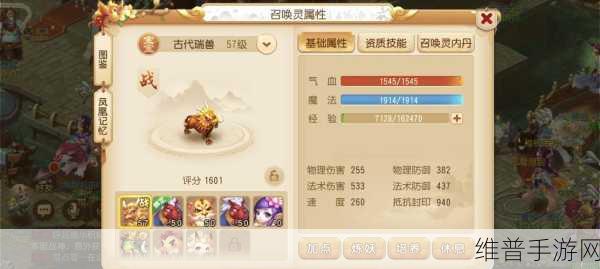 梦幻西游手游新手角色选择建议，深度解析如何打造你的完美英雄