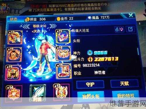 时空猎人深度解析,揭秘附魔卡牌系统的位置与玩法