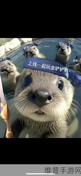 金铲铲之战至臻亚索，详尽攻略与价格解析