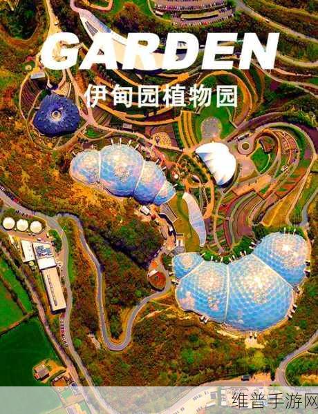 大象伊甸园一二三四五区别：1. 大象伊甸园：探秘自然与生命的交融