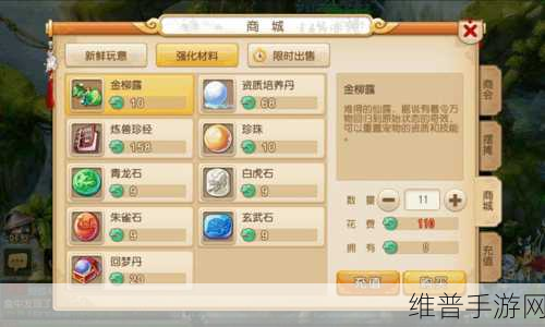 神兵利器揭秘,天天斗西游宝物系统功能全解析