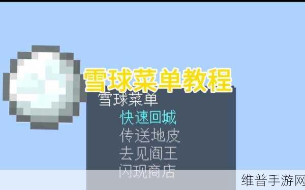 我的世界手机版雪球无限刷取秘籍