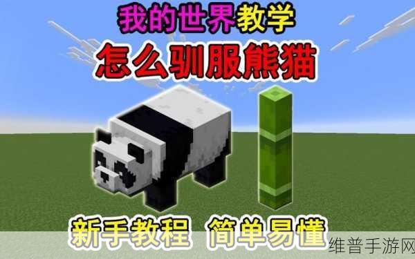 迷你世界,熊猫驯服秘籍大公开