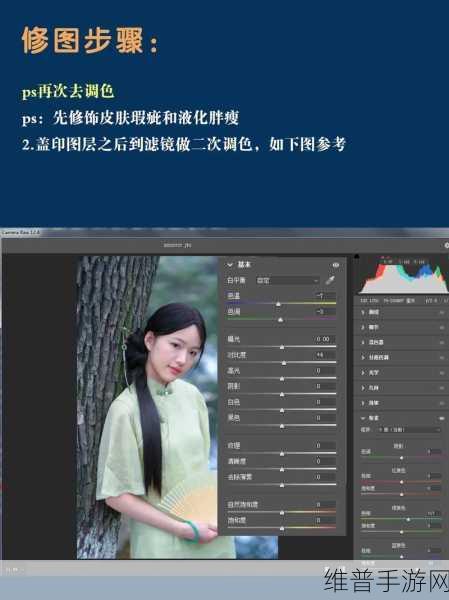 免费ps一二级调色大片：1. 免费PS调色技巧：打造专业级视觉效果