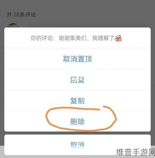 手游攻略，如何高效管理小红书评论，掌握删除技巧