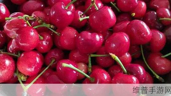 在线樱桃视频：1. 在线樱桃视频：尽享精彩影视盛宴！