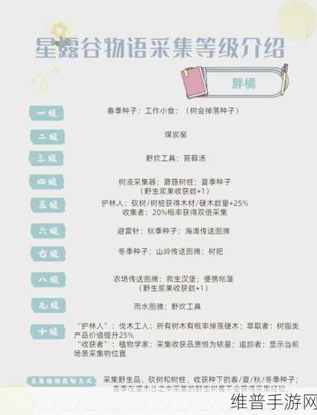 星露谷物语1.5,宝石鸟解谜全攻略