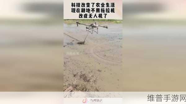 17c—起草国卢:1. "探索17c—起草国卢的历史背景与影响
