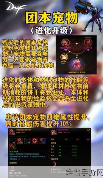 DNF 手游，探索抗魔值巅峰的装备奥秘
