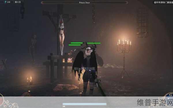 惩戒·魅魔攻略：1. 探索惩戒·魅魔的秘密：全方位攻略指南