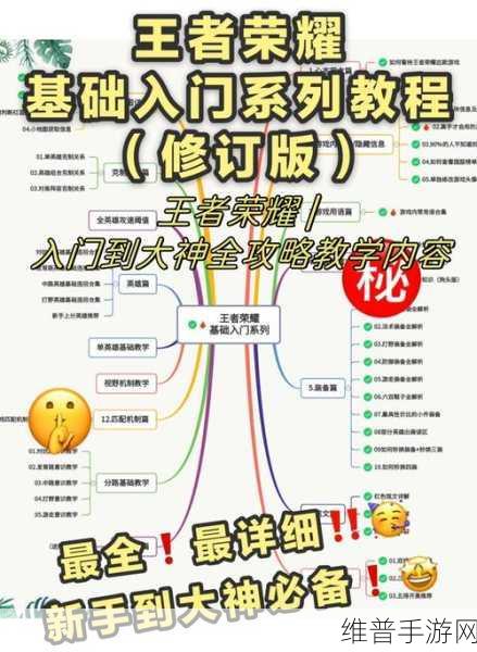 打王者荣耀时延迟很高？全面攻略助你畅享游戏