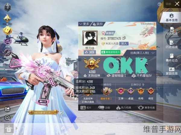 和平精英,揭秘最高段位无敌战神的荣耀之路