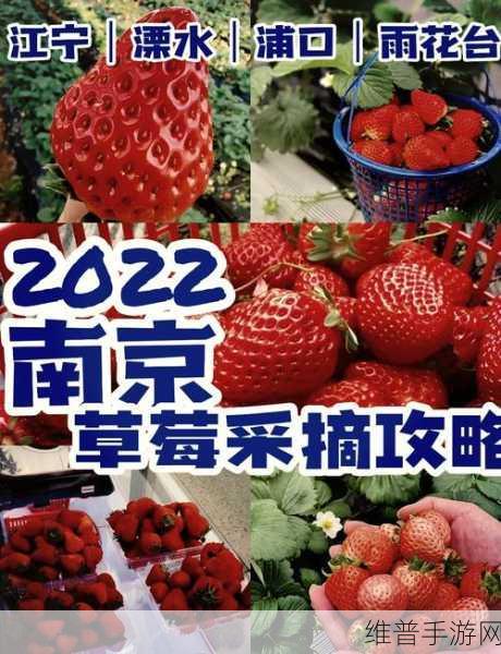 caomei.888：当然可以！根据“caomei.888”这个主题，这里有一些可能的标题建议：