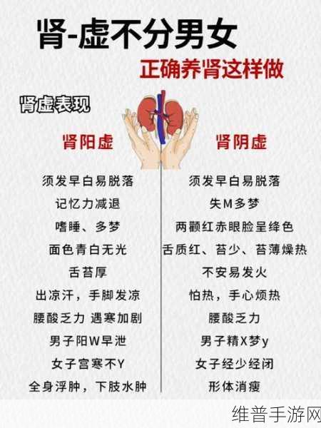 肾虚十八连黑料不打烊：1. 肾虚揭秘：十八连黑的真相与影响