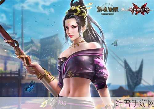 流星群侠传震撼登场，玩家视角下的全面评测盛宴