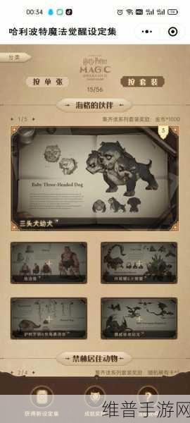 哈利波特魔法觉醒侮辱女性事件全解析