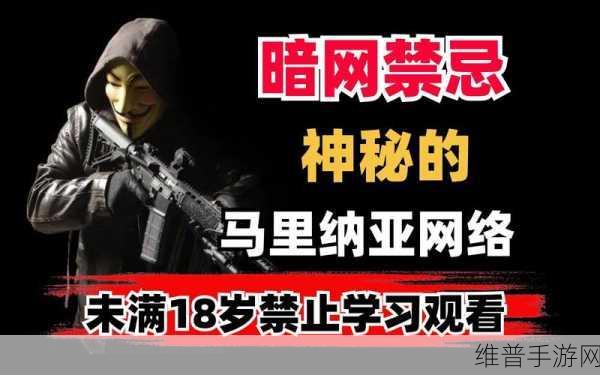 不良网站暗网进入窗口：1. 深入探秘不良网站：暗网的隐秘入口与风险