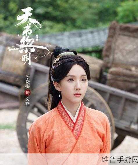 96533电视剧免费观看:1. 追寻真相:96533背后的秘密与谜团