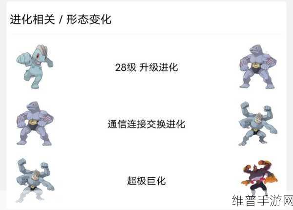 宝可梦大探险,深度解析怪力技能选择策略