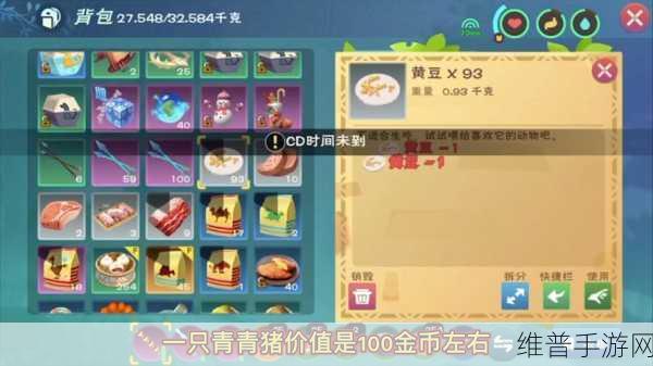 创造与魔法睡袋用法及机制详解,掌握高效游戏技巧
