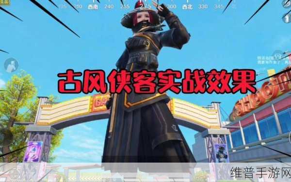 和平精英浪客战士新套装价格全解析