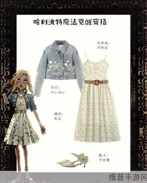 哈利波特魔法觉醒，深入探索缓和剂的奥秘与潜在副作用