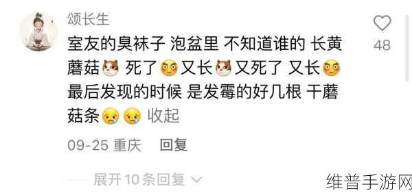 17c吃瓜网黑料爆料蘑菇视频:1. “17c吃瓜网揭秘蘑菇视频背后的黑幕!”