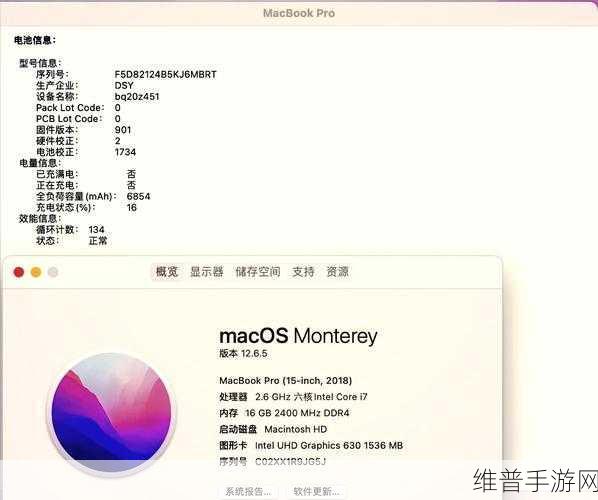 1819岁MACBOOK日本：1. 1819岁MACBOOK：重温经典，探索现代科技的完美结合