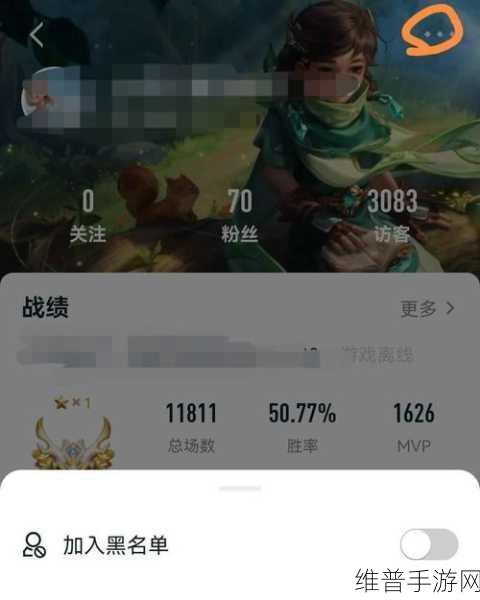 王者荣耀，探秘非好友战绩查看秘籍