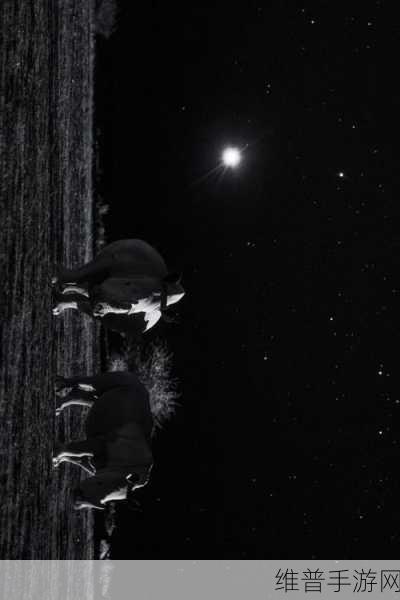 星空无限传媒网站官网:当然可以!以下是一些关于星空无限传媒的创意标题建议: